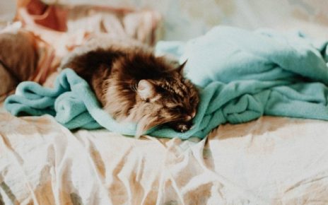 Есть вопрос: как часто нужно стирать постельное белье